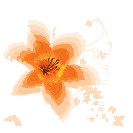 Beautiful orange lily. Vector. のイラスト素材