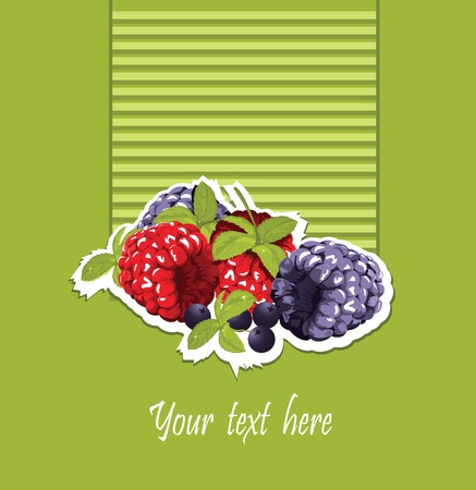 raspberry and blackberry cardのイラスト素材