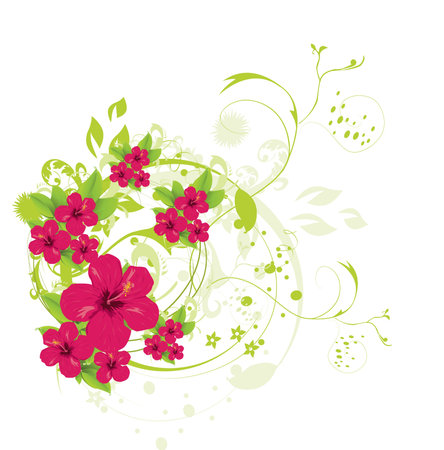 Hibiscus のイラスト素材