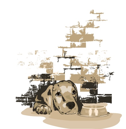 Little doggy waiting for food のイラスト素材