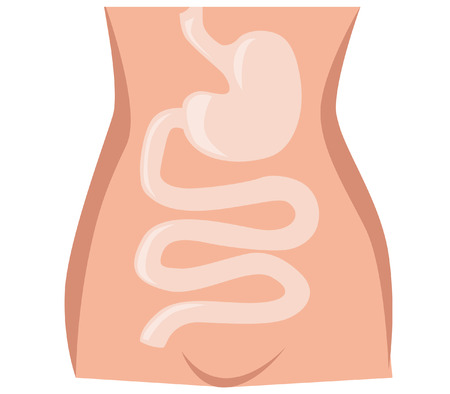 Bowel illustrationのイラスト素材