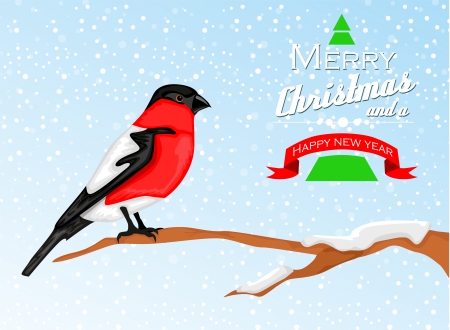 Christmas background with Bullfinch birdのイラスト素材