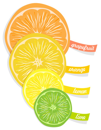 Citrus fruitsのイラスト素材