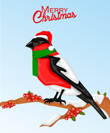 Christmas bullfinch bird in santa hatのイラスト素材