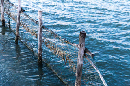 nets fishの写真素材