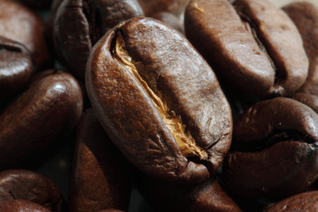 closeup of coffee beans