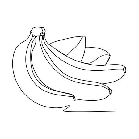 continuous lines banana fruit one line abstractのイラスト素材