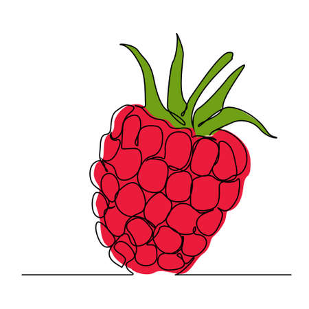 continuous lines fruit raspberries
のイラスト素材