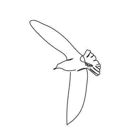 continuous line flying seagull simple styleのイラスト素材