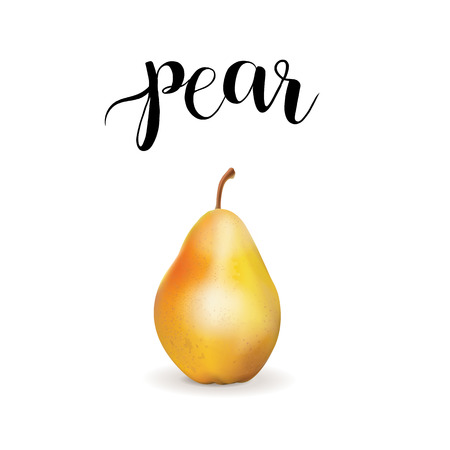 Pretzel vector illustration. German pastries handmade illustration Pretzelのイラスト素材