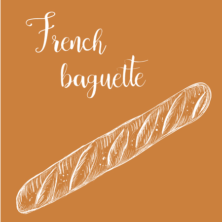 French baguette, bread long loaf sketch illustrationのイラスト素材