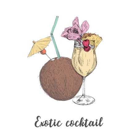 Coconut cocktail with a straw and an umbrella. Tropical fruit coconut. Vector illustration of a sketch hand drawingのイラスト素材