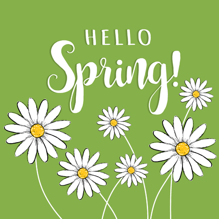 Hello spring! Hello Spring floral vector illustration with daisies. Hello Spring card, poster for designのイラスト素材