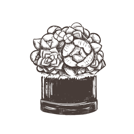 Bouquet of flowers in a box vector illustration. Flowers sketch hand drawingのイラスト素材