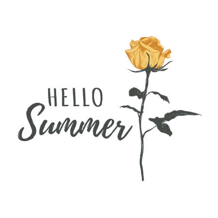 Hello summer calligraphy text vector illustrationのイラスト素材