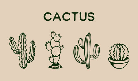 Cactus collection hand drawingのイラスト素材