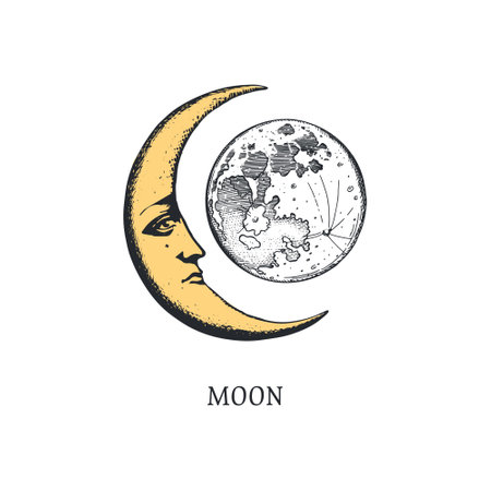 Crescent vector illustration. Moonのイラスト素材