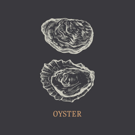Oyster hand drawing. Oyster vector illustrationのイラスト素材