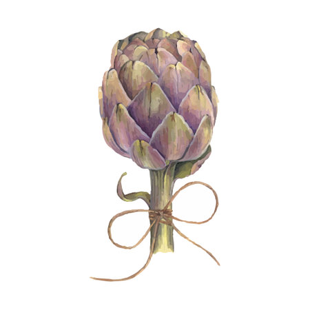 Artichoke hand drawing vector illustration.のイラスト素材