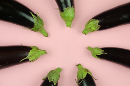 Aubergine eggplant isolated on white. Quality photo for your project.の写真素材
