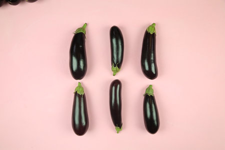 Aubergine eggplant isolated on white. Quality photo for your project.の写真素材