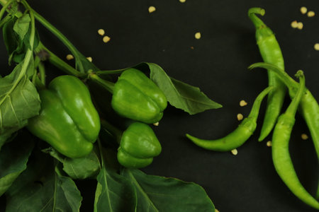 green chili pepper on a black backgroundの写真素材