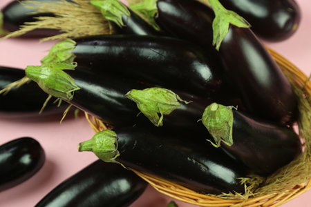 Aubergine eggplant isolated on white. Quality photo for your project.の写真素材
