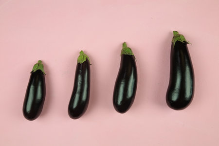 Aubergine eggplant isolated on white. Quality photo for your project.の写真素材