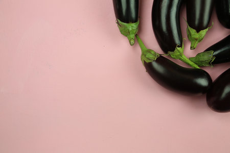 Aubergine eggplant isolated on white. Quality photo for your project.