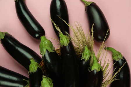 Aubergine eggplant isolated on white. Quality photo for your project.の写真素材