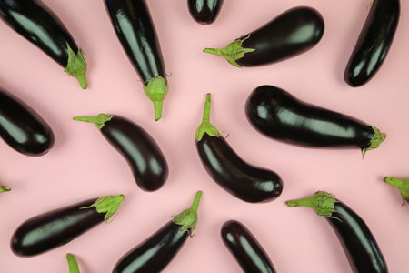 Aubergine eggplant isolated on white. Quality photo for your project.の写真素材