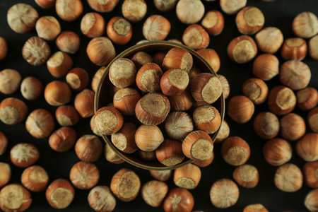 Hazelnuts on wooden backdrop. heap or stack of hazelnuts. healty foodの写真素材