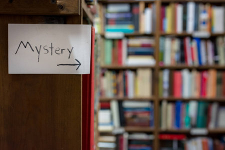 Mystery Book Shelves This Way