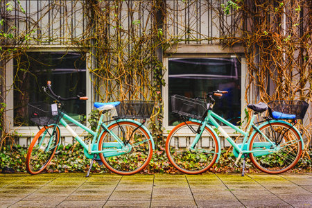 turquoise bikes and ivyの写真素材