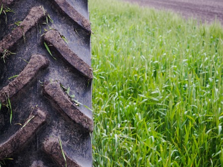 Tractor tire in a field of wheat that takes up a quarter of the frame.の写真素材