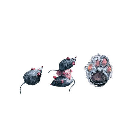 Mini set with toy mouses and cat paw. Watercolor painting isolated on white backgroundの写真素材