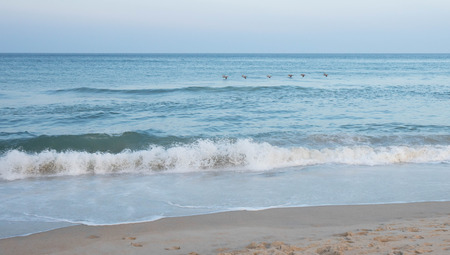 A flock of pelicans flying over the ocean with waves crashing ashore.の写真素材