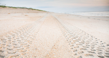 Tire tread marks in the sand leading off into the distance on the beach.の写真素材
