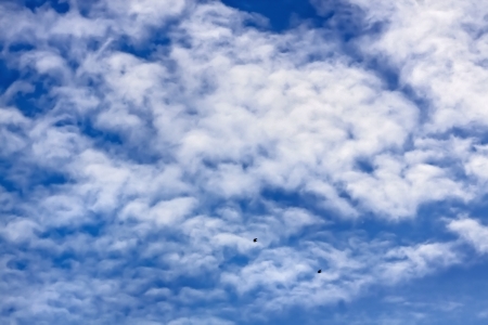 Sunny blue backgrund 