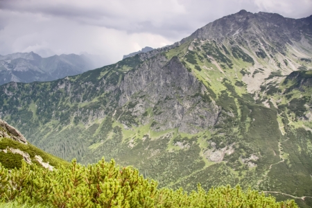 Polish landscapes  Mountain - Tatras  National park - ecological reserve の写真素材