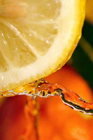 Here are fresh citruses with dropping  water,  rest is a play with background and light.の写真素材