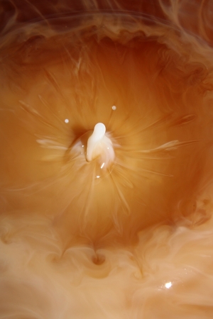 Drops of milk in caramel の写真素材