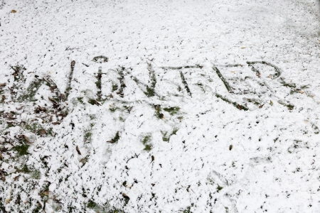 Winter background  Dirty snow の写真素材