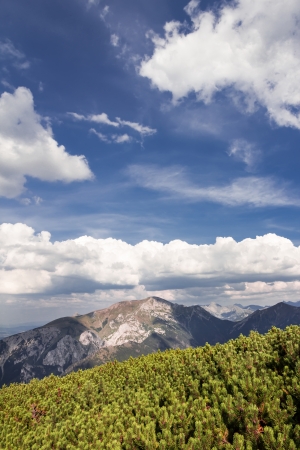 High mountain in Poland  National Park - Tatras  Ecological reserve   の写真素材