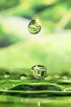 Drops of four seasons - spring の写真素材