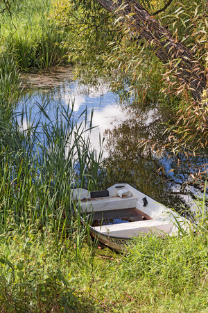 Summer fishing tripの写真素材