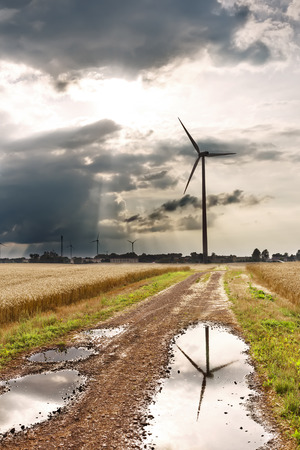 Sights of Poland  Wind farm on Polish seaside の写真素材