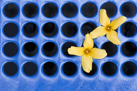 spring backgroundの写真素材