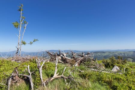 Mountain in Poland. Silesia Beskid near Szczyrk.の写真素材