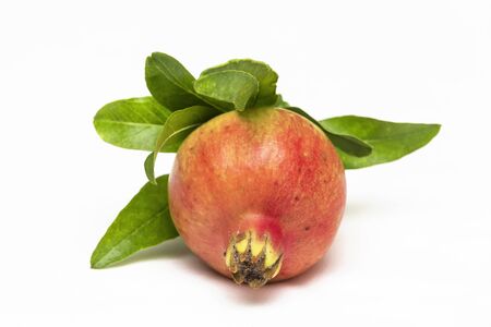 Fresh, natural fruit of pomegranate from Greece.の写真素材